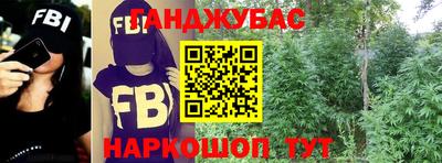 стаф Кулебаки