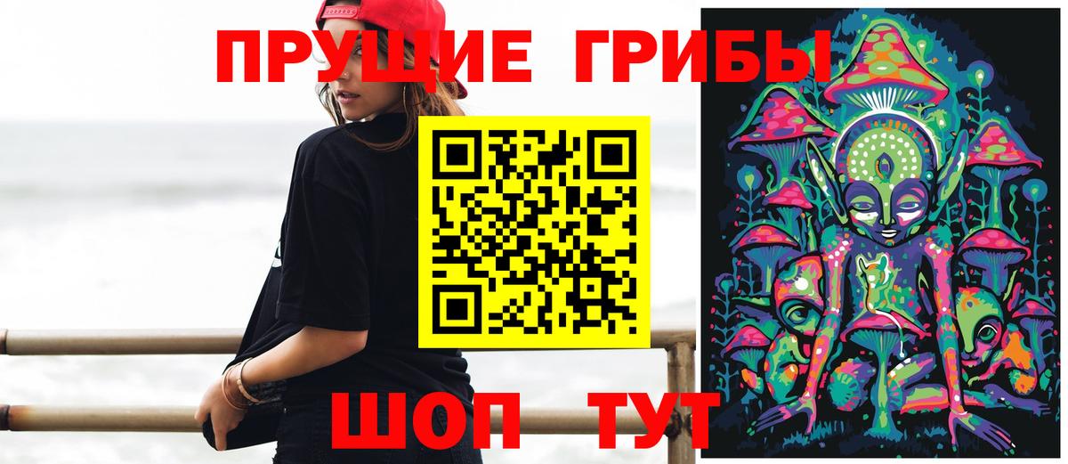 Галлюциногенные грибы GOLDEN TEACHER  где продают наркотики  Котовск  Вход с VPN 